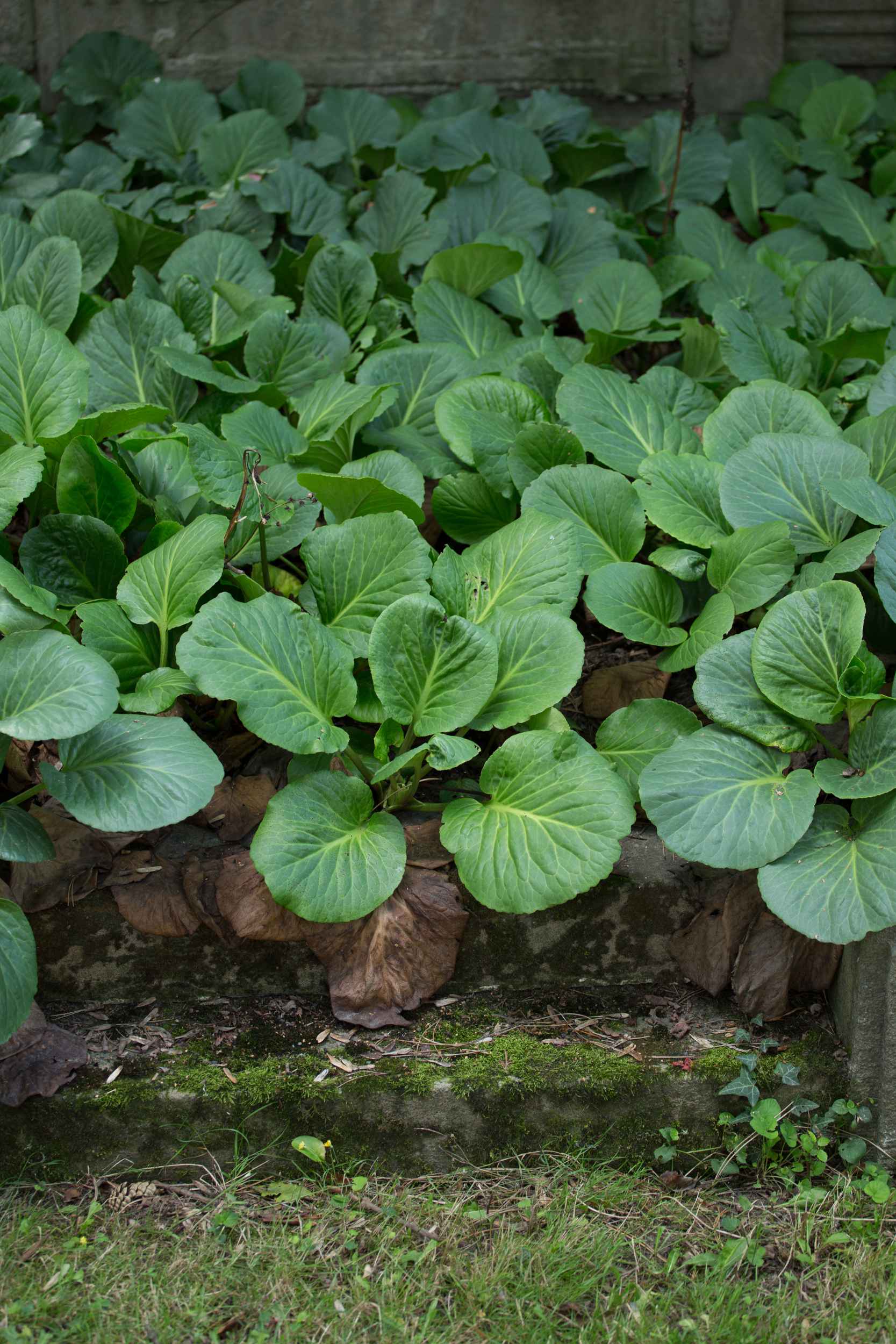 Detailaufnahme auf dem Friedhof an der Merseburger Strasse in Leipzig.