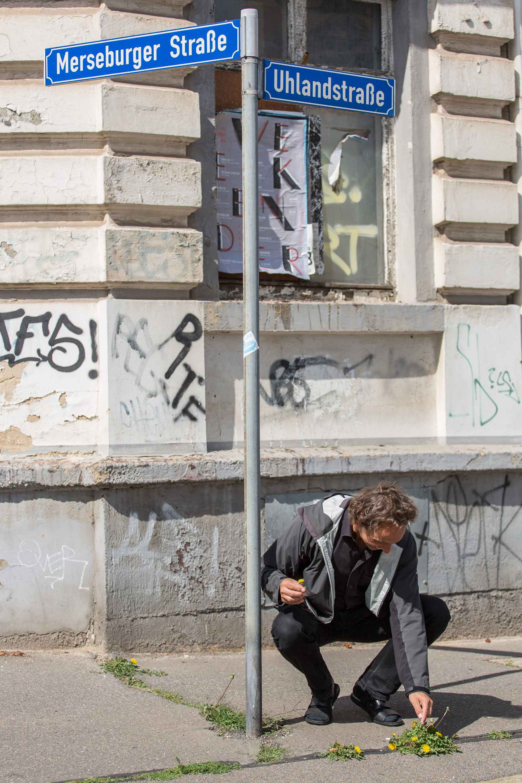 Bertram Weisshaar pflückt Blumen entlang der Merseburger Strasse in Leipzig.