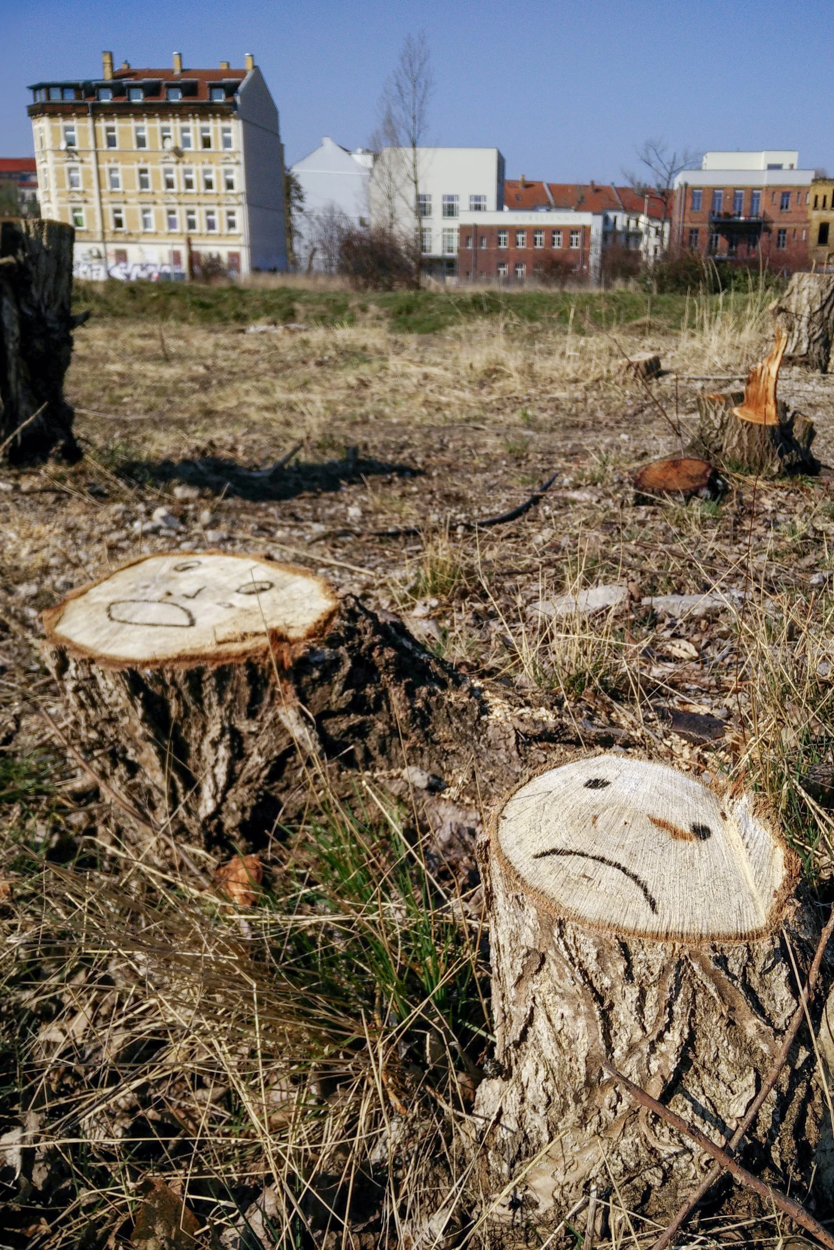 Zwei Baumstümpfe im Vordergrund auf dem jahrtausendfeld in Leipzig Lindenau mit trockenem Gras. Auf jedem Stumpf ist ein trauriges Gesicht gemalt oder eingeschnitzt.