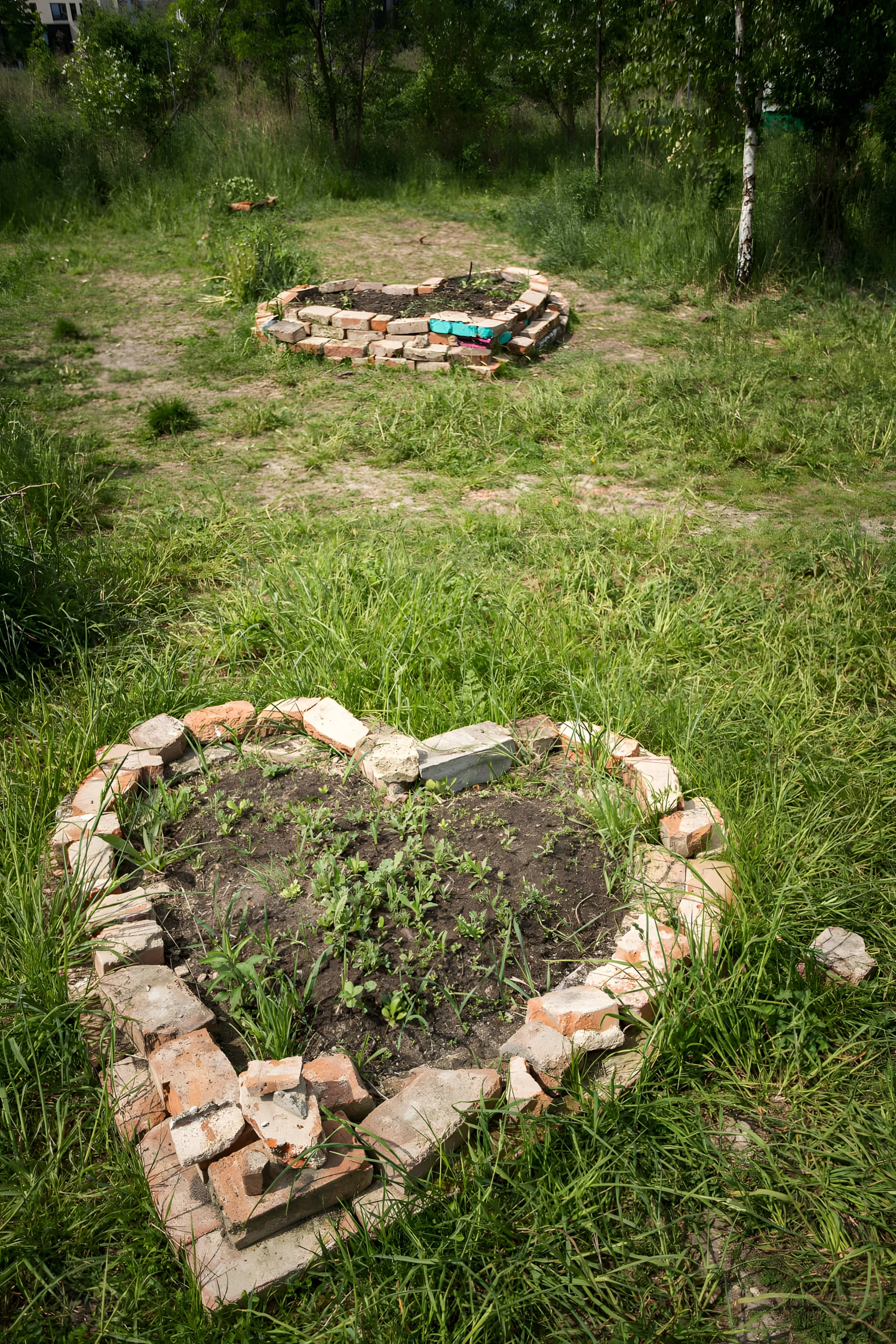 Ein herzförmiges Beet aus Ziegelsteinen mit jungen Pflanzen in der Mitte, auf dem Jahrtausendfeld mit einer weiteren runden Ziegelstruktur im Hintergrund.