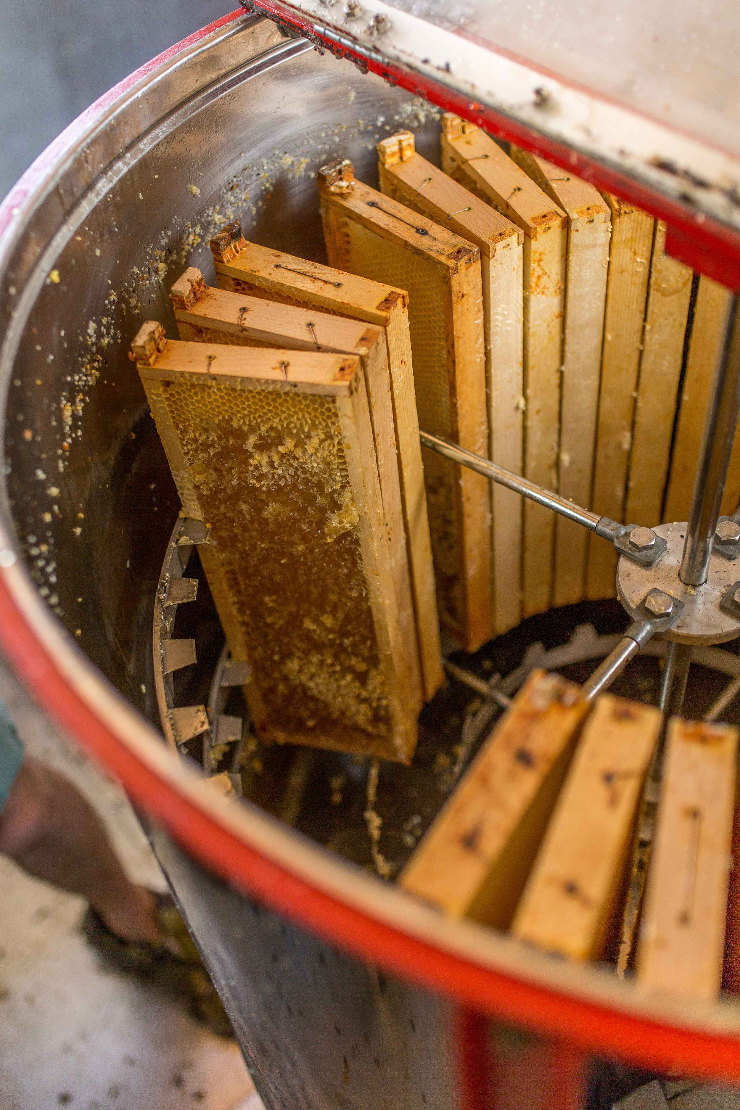 Dank der Schwerkraft läuft der Honig in den darunter liegenden Container, so dass er später nur noch gefiltert und abgefüllt werden muss.