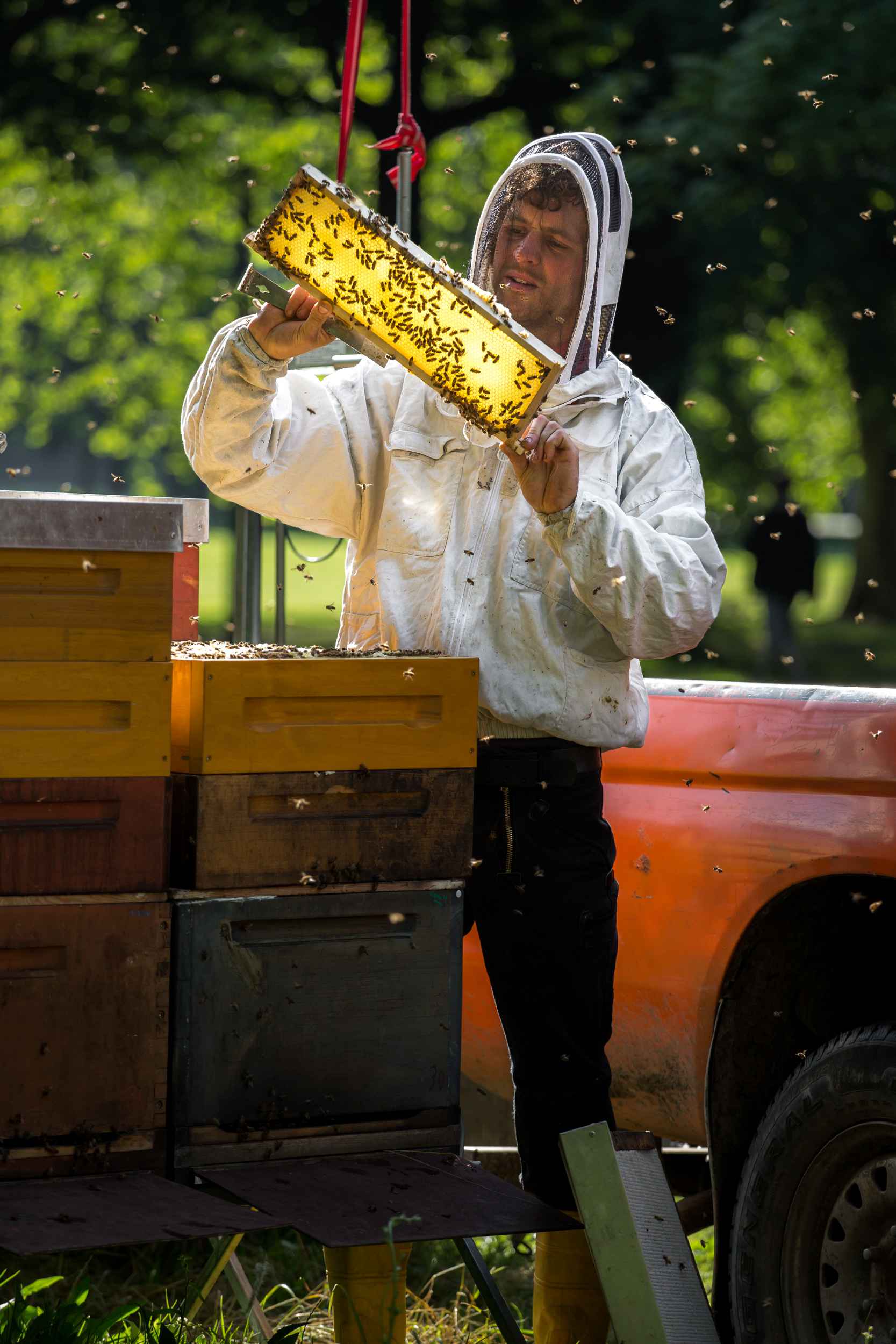 Christopher Mann bei seiner Arbeit als Imker im Clara-Zetkin-Park in Leipzig.