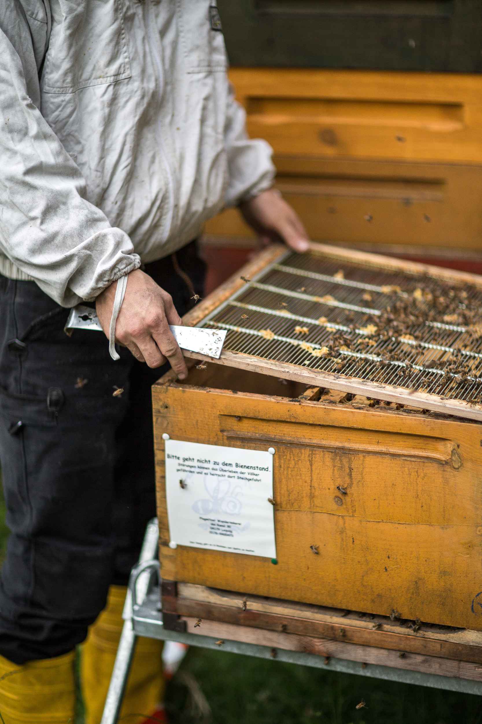 Christopher Mann bei seiner Arbeit als Imker im Clara-Zetkin-Park in Leipzig.