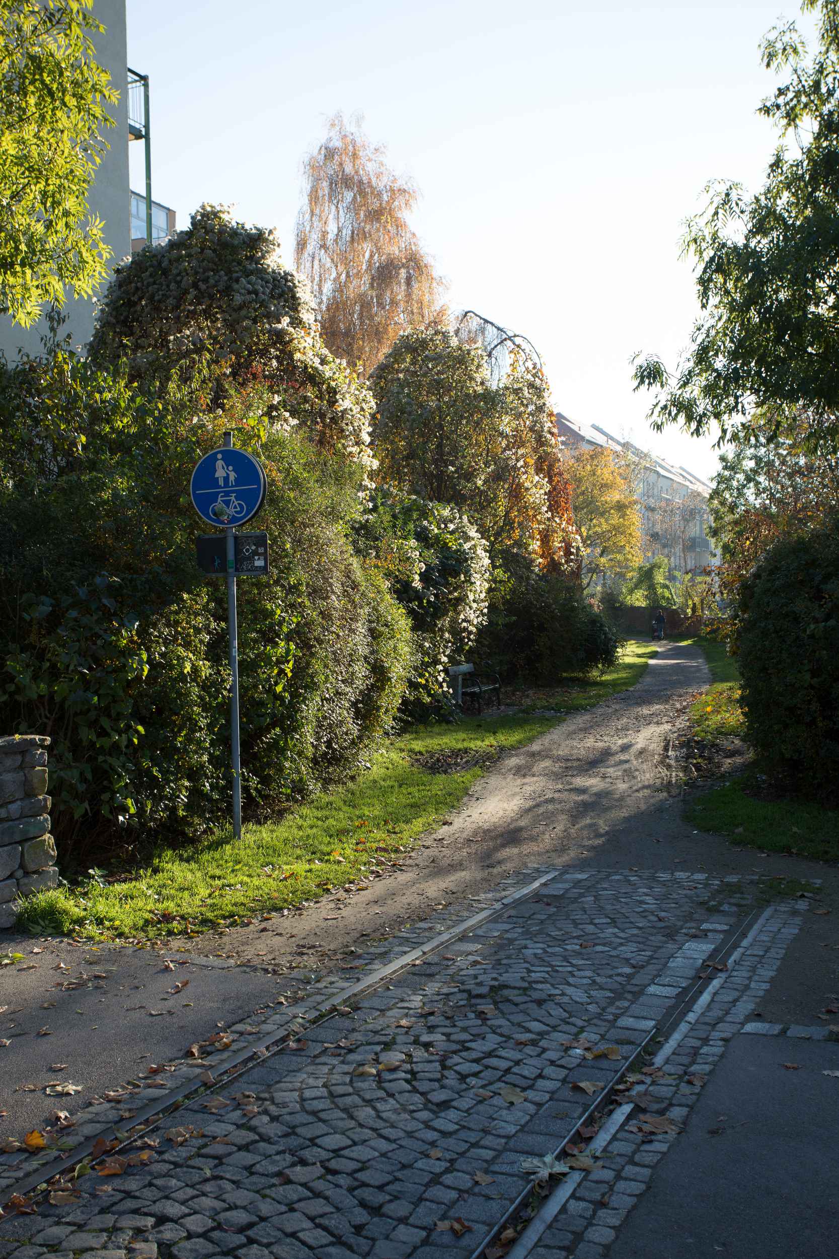 Übergang der ehemaligen Gleise in den neuen Rad- und Fußweg Richtung Henriettenpark.