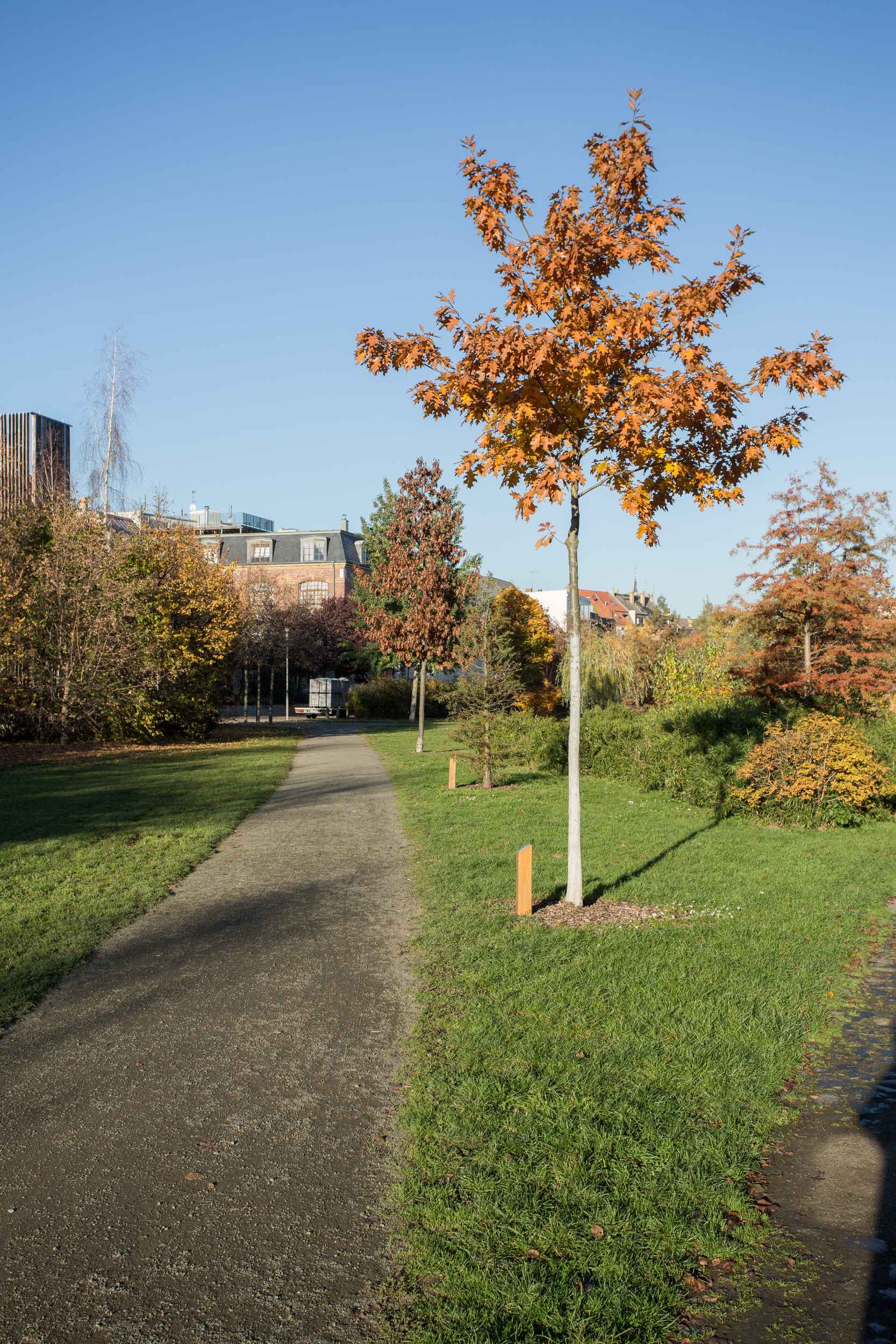 Der Henriettenpark im Herbst 2015