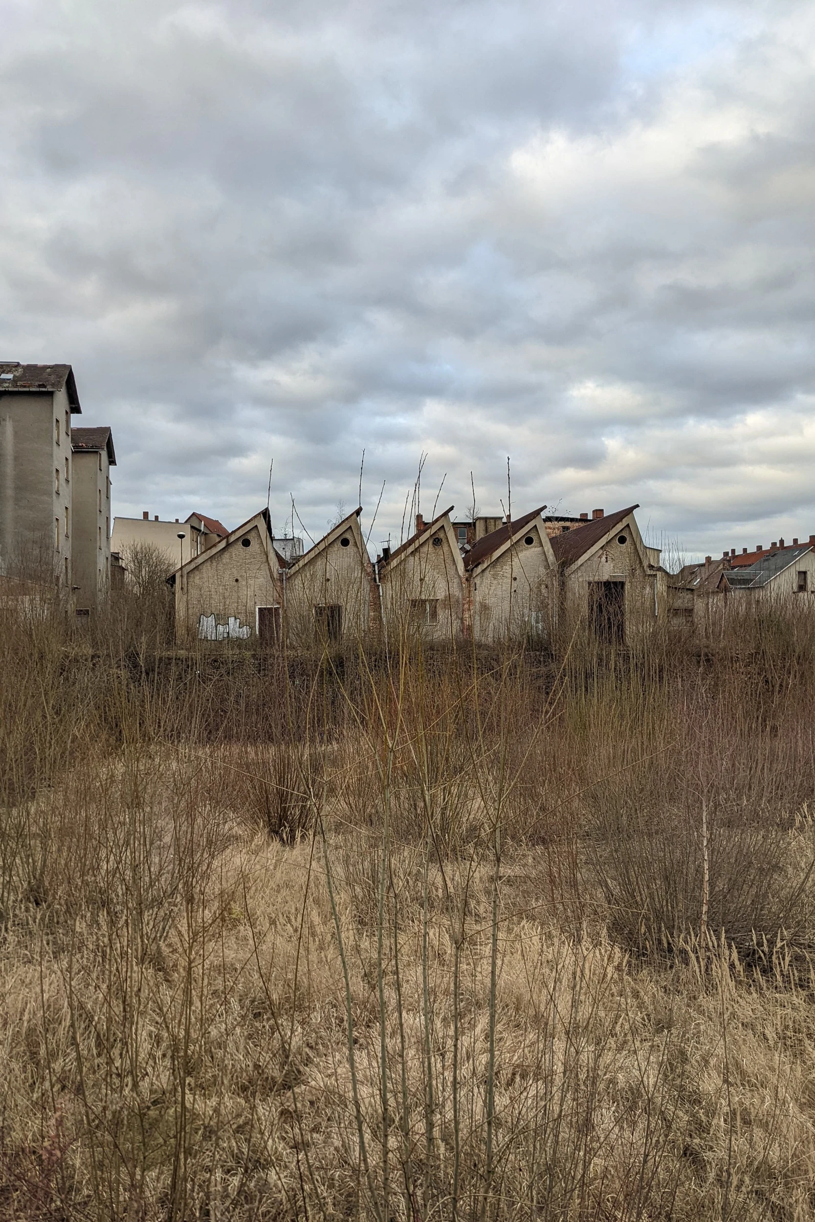 Ein Blick auf den Schützenplatz in Zeitz. Mittlerweile ein verwildertertes Areal ohne Nutzungsperspektive.