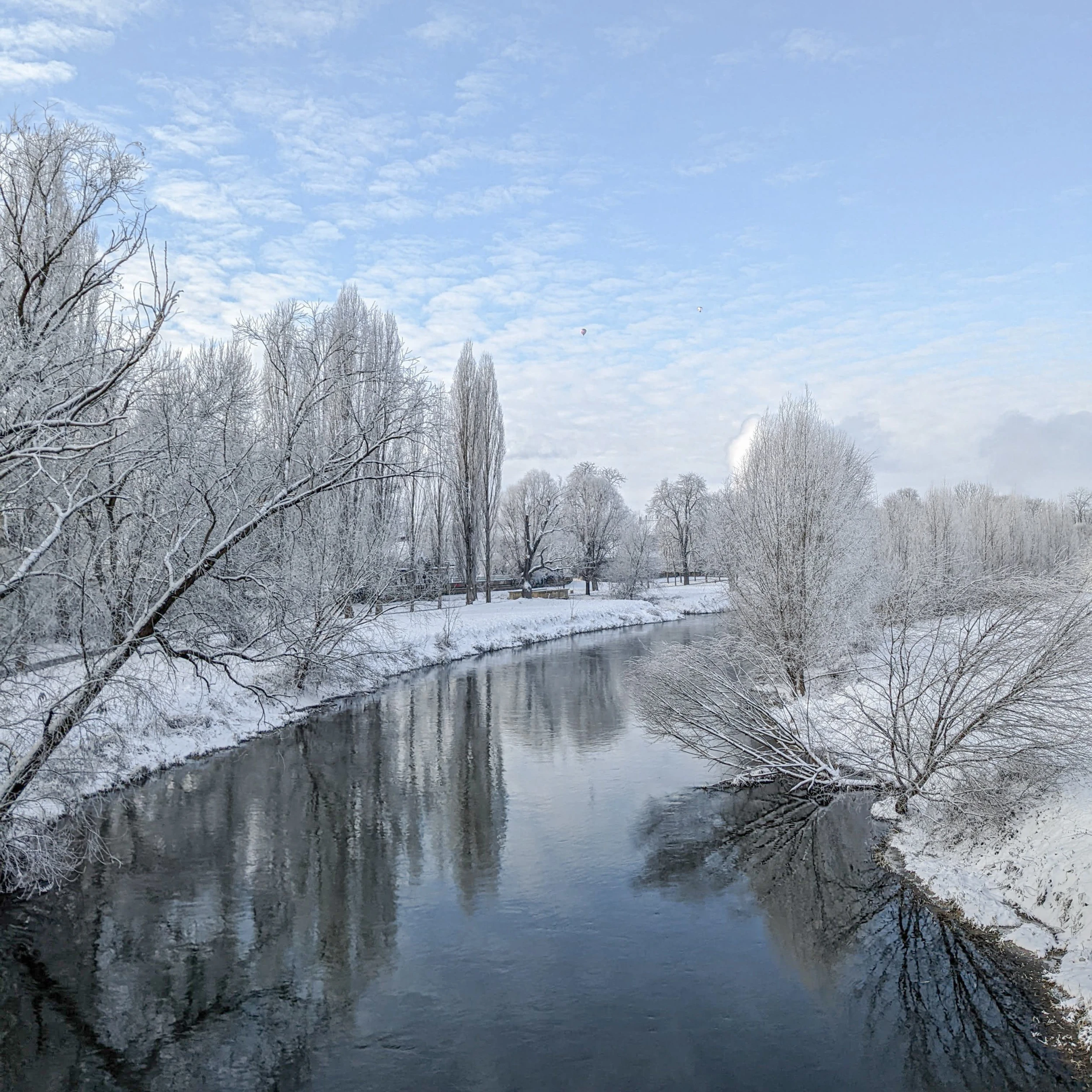 Die weisse Elster in Zeitz im Winter 2022.