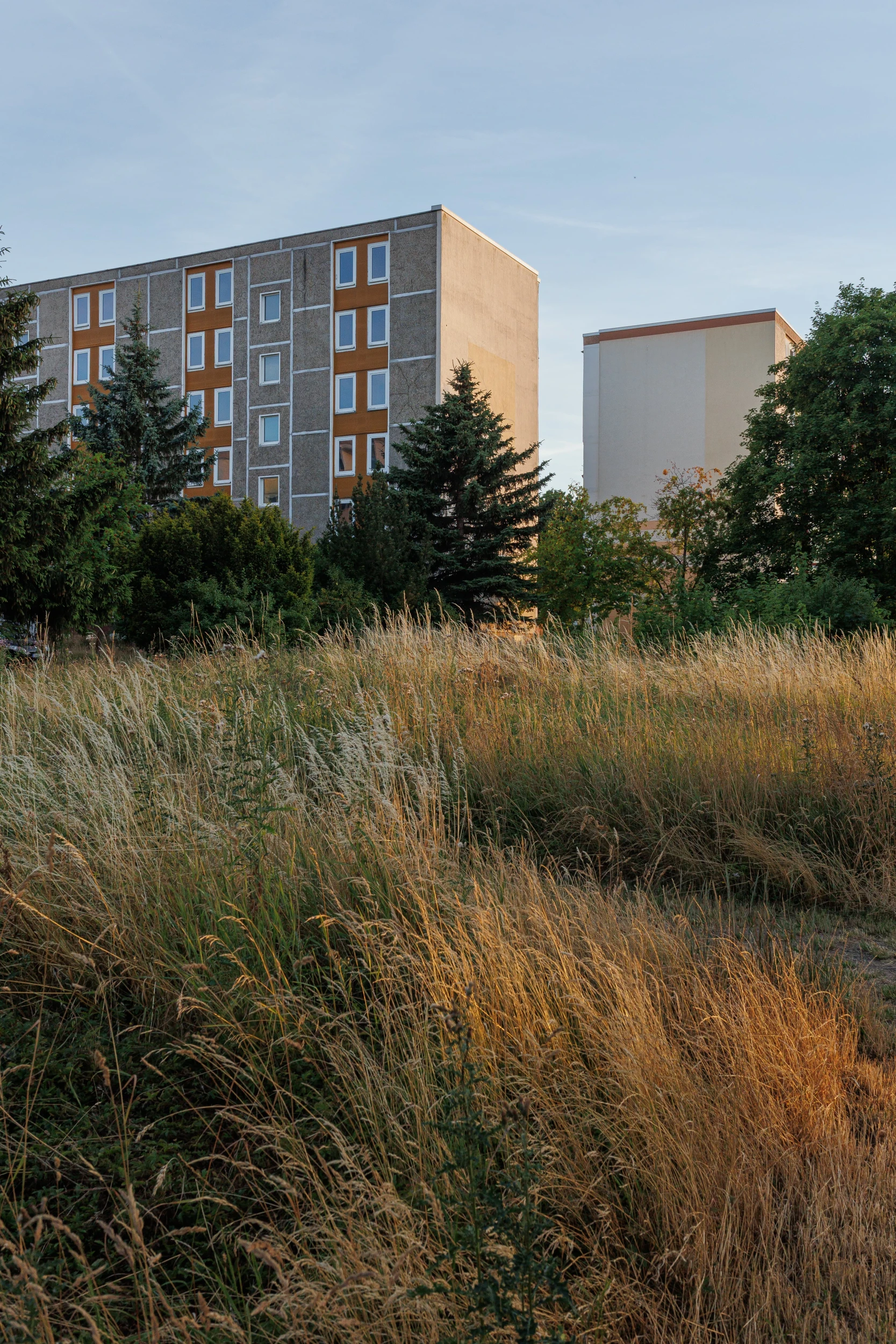 Plattenbauten in der Abendsonne von Zeitz.