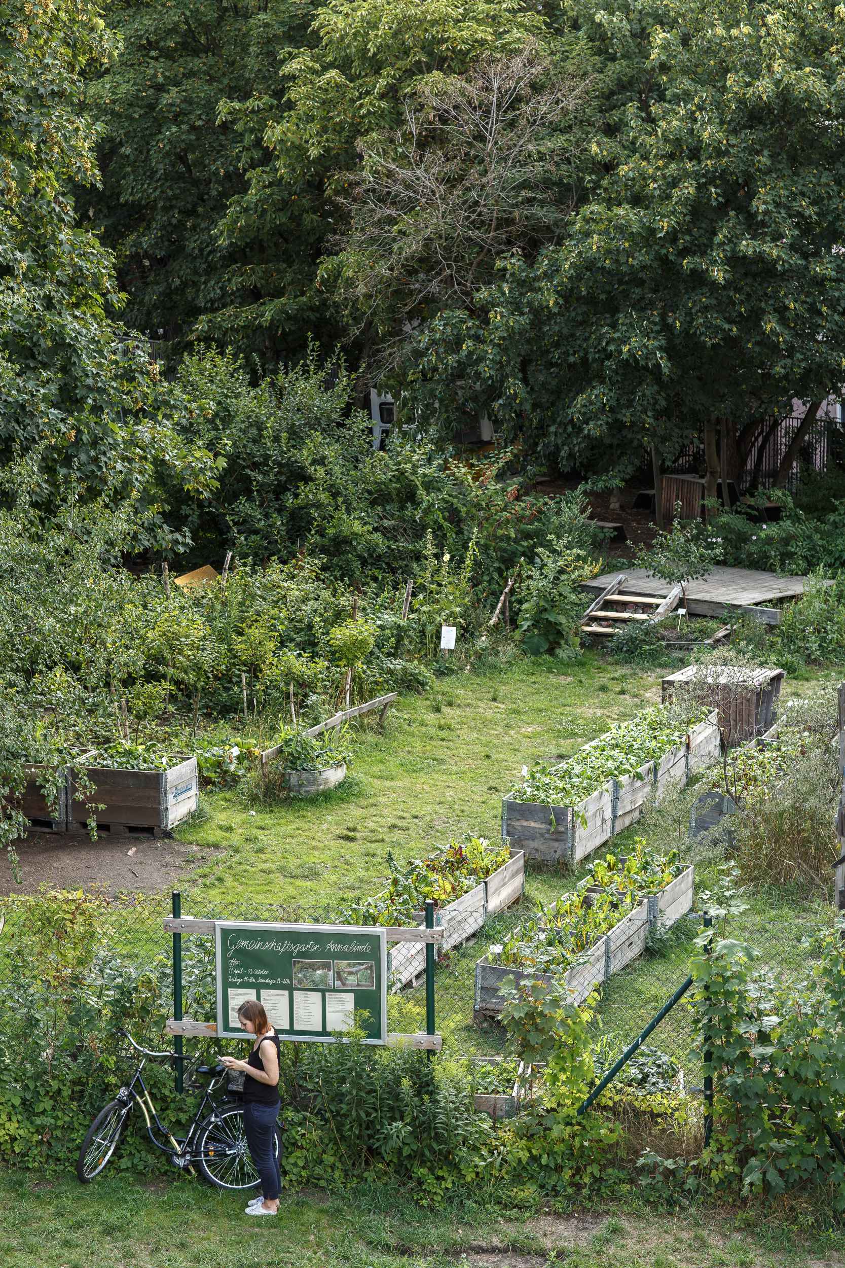 Von der Plagwitzer Stadteilbibliothek aus hat man einen schönen Blick auf den Garten von Annalinde.