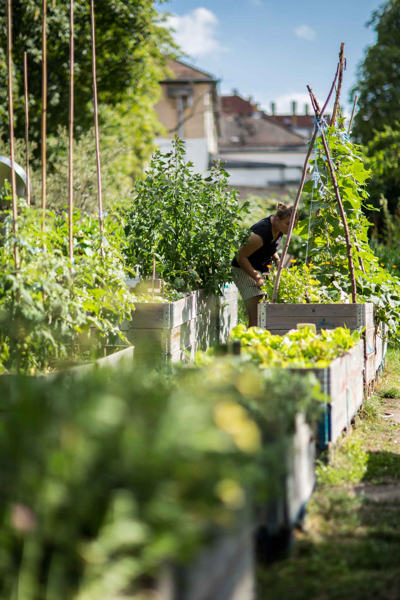 Mobile Pflanzkübel im Gemeinschaftsgarten Annalinde in Leipzig Lindenau.