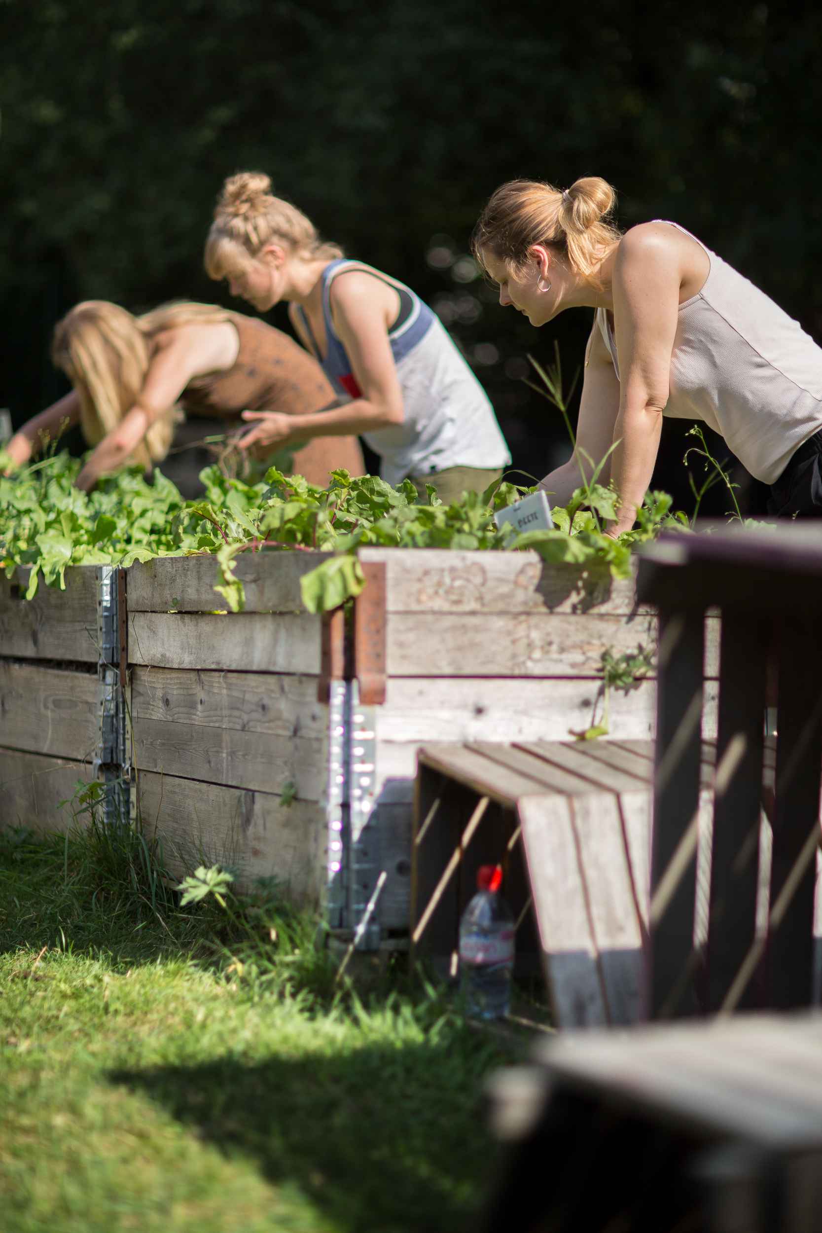 Ökologischer Anbau von Pflanzen mitten in der Stadt.