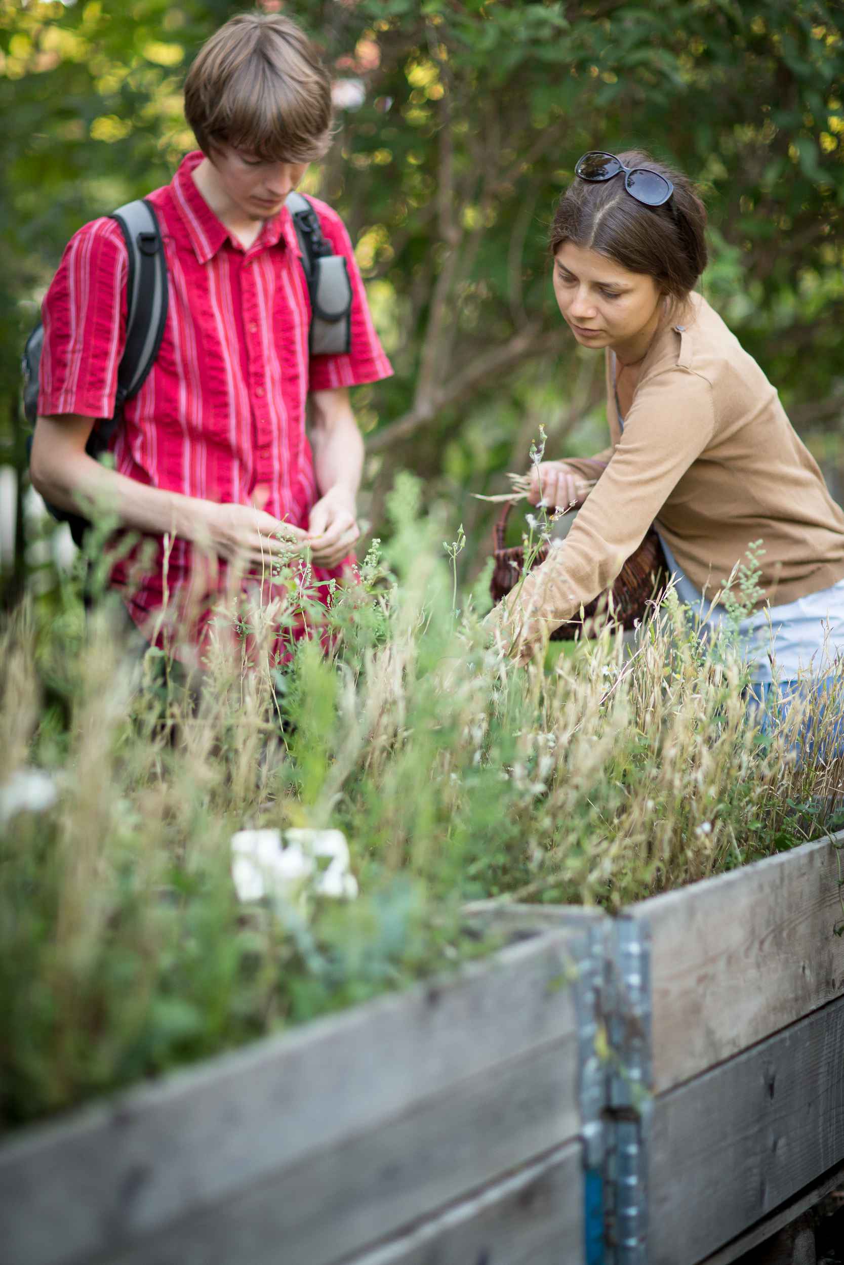 Es gibt Workshops und Gartenarbeitstage bei Annalinde.