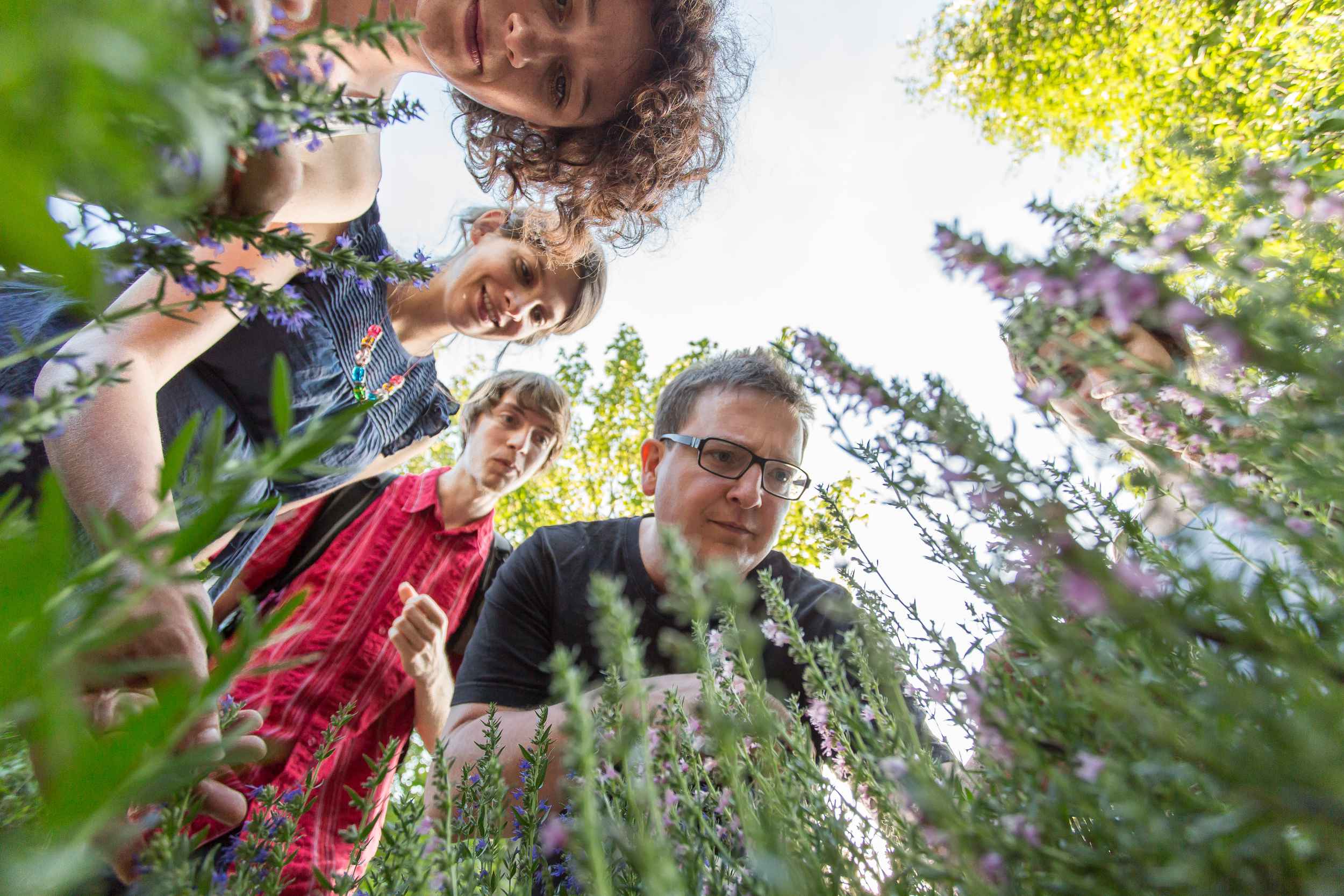 Die Kräuter AG schaut sich den Zustand der Pflanzen im Garten an.