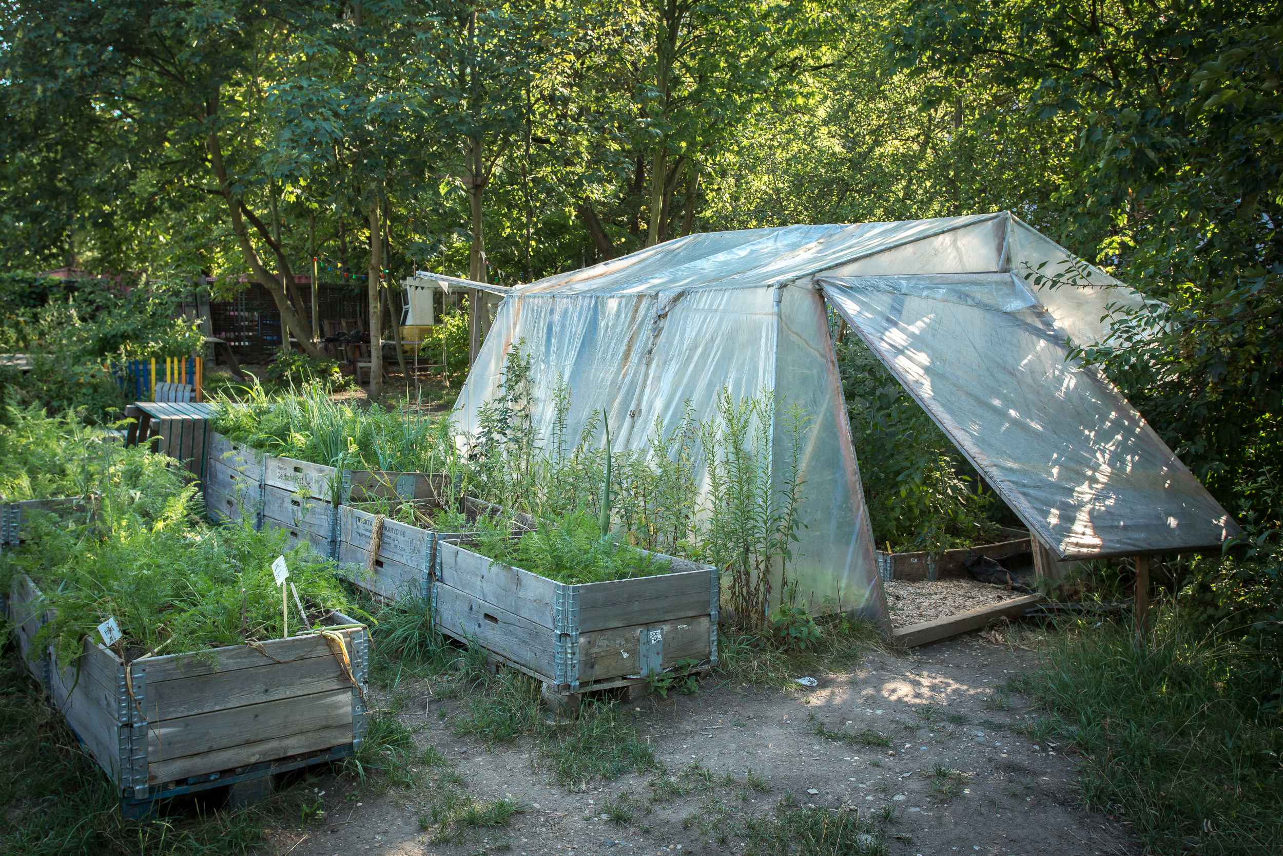 Ein Gewächshaus im Garten von Annalinde in Leipzig Lindenau.