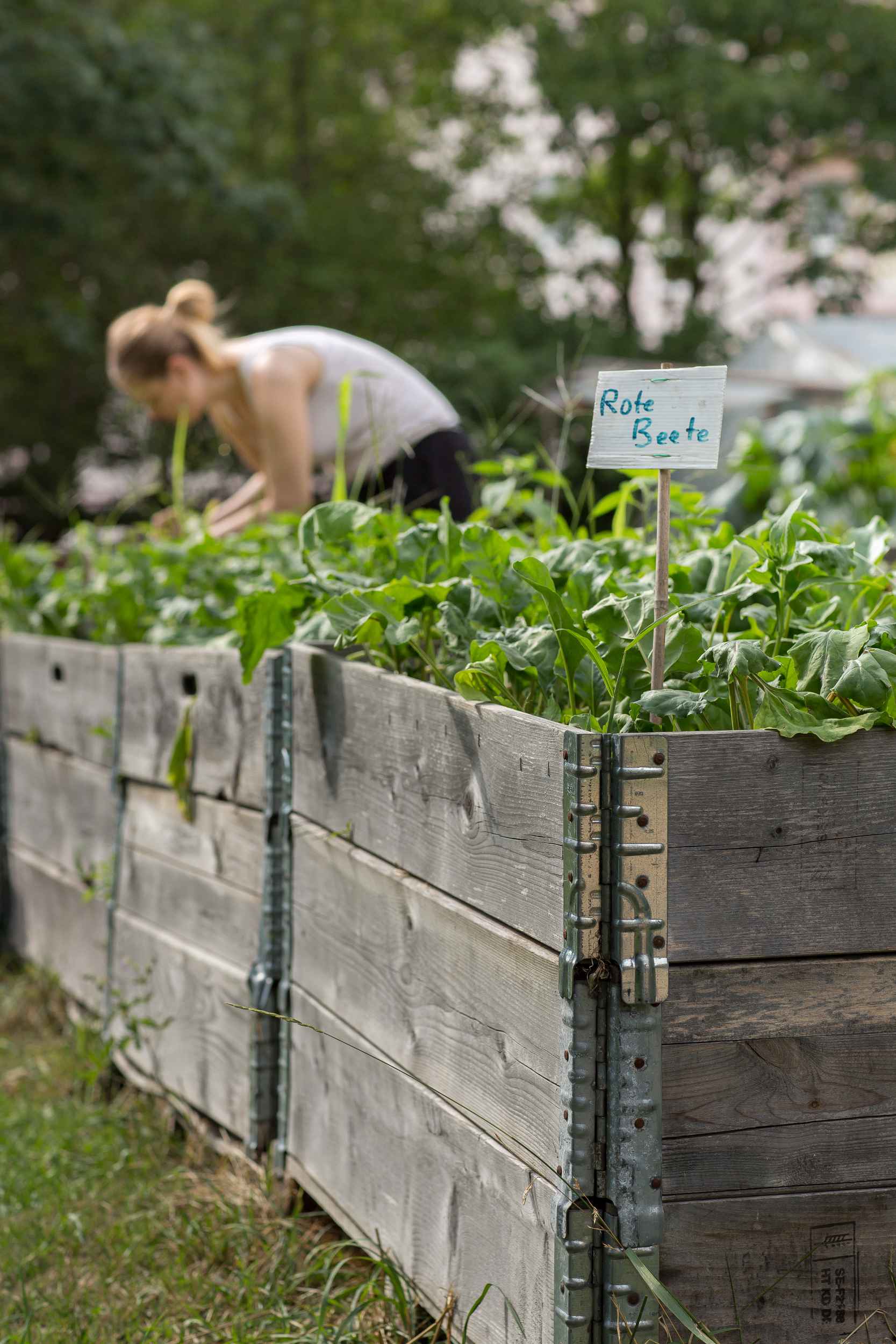 Mobile Pflanzkübel im Gemeinschaftsgarten Annalinde in Leipzig Lindenau.