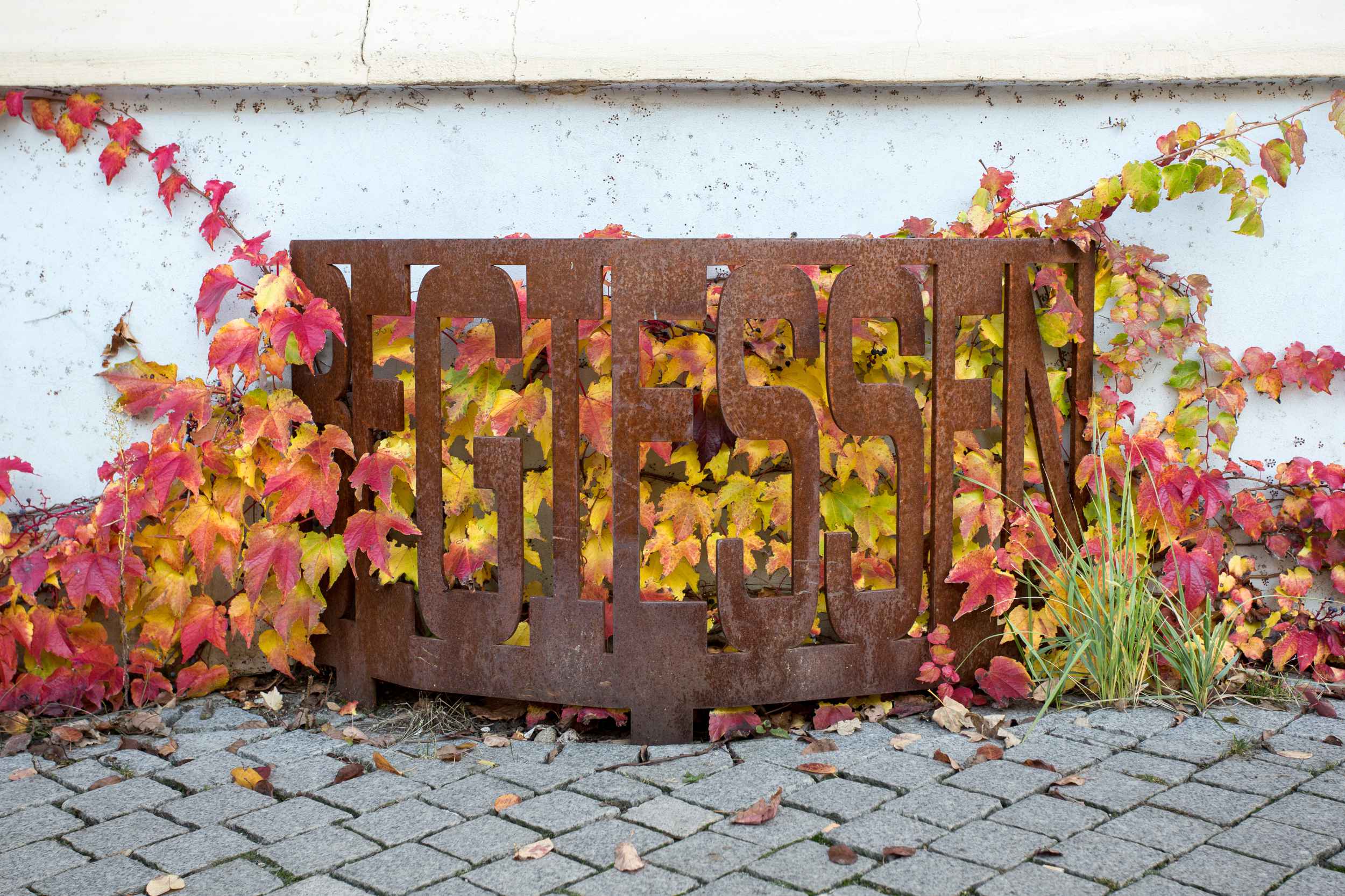 Pflanzgitter an den Häusern in der Jospehstraße in Leipzig Lindenau.